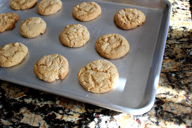 Classic Peanut Butter Cookies – Jamie Cooks It Up