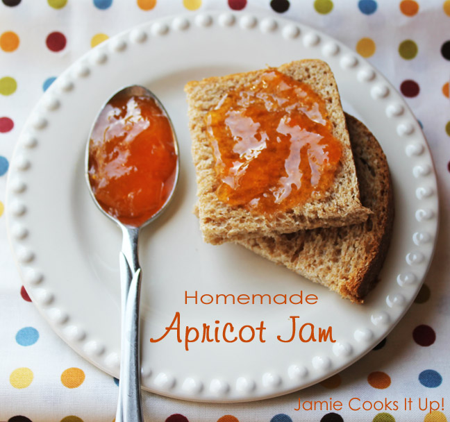 Homemade Apricot Jam from Jamie Cooks It Up!