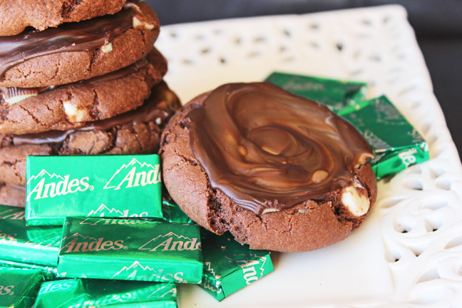 Double Chocolate and Mint Cookies from Jamie Cooks It Up!