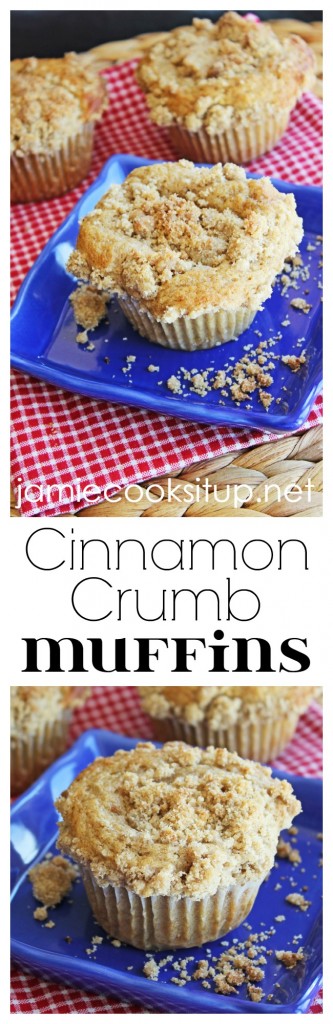 Cinnamon Crumb Muffins from Jamie Cooks It Up!